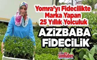YOMRA’DAN TÜRKİYE’YE KALİTELİ FİDE: AZİZBABA FİDECİLİK