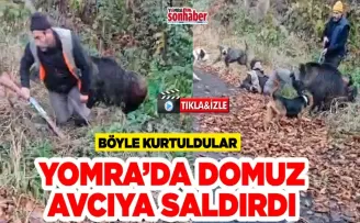 Yomralı Avcı Hacıhamzaoğlu’na domuz saldırdı 