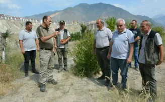 Yusufeli'nin yeni yerleşim yerinde 300 dekarlık alan ağaçlandırıldı