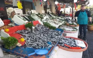 Zonguldak’ta bollaşan hamsinin fiyatı 50 liraya düştü