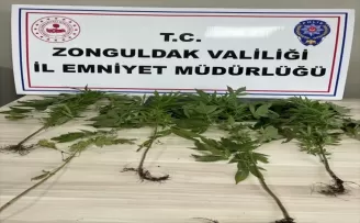 Zonguldak'ta denetimlerde uyuşturucuyla yakalanan 4 şüpheli gözaltına alındı