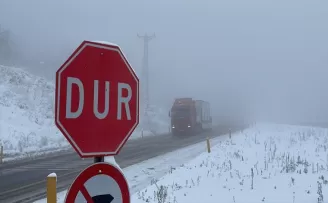 Zonguldak'ta kar ve sis ulaşımı olumsuz etkiledi
