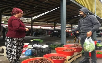 Zonguldak'ta köylülerce toplanan kestaneler kilogramı 25 liradan satılıyor