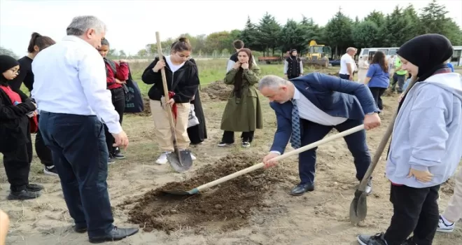 19 Mayıs ilçesinde hatıra ormanı oluşturuldu