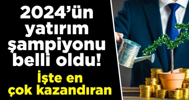 2024’ün yatırım şampiyonu belli oldu! İşte en çok kazandıran