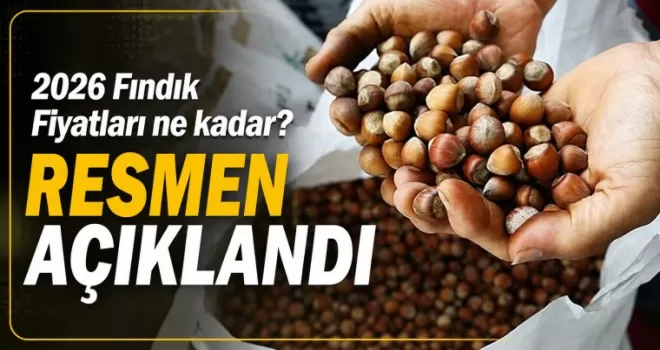 2026 Fındık Fiyatları ne kadar? Resmen açıklandı