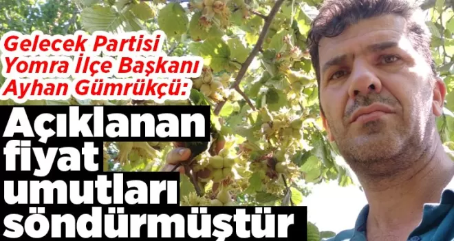 Açıklanan fiyat umutları söndürmüştür