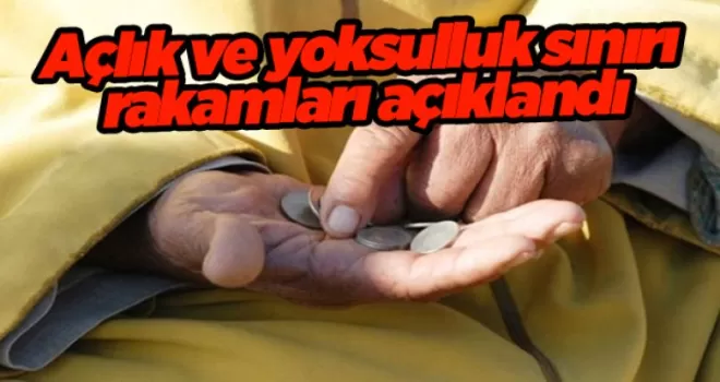 Açlık ve yoksulluk sınırı rakamları açıklandı