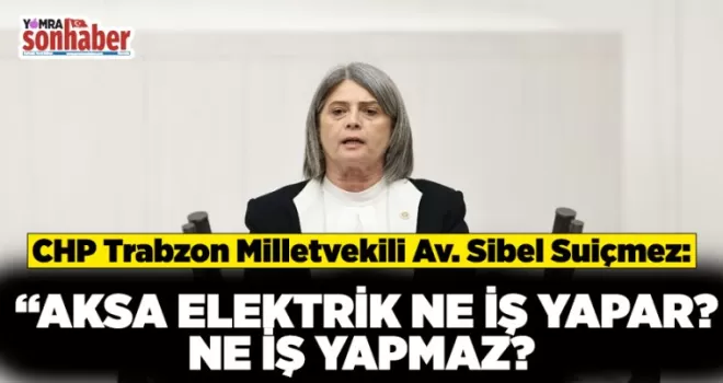  “AKSA ELEKTRİK NE İŞ YAPAR? NE İŞ YAPMAZ?