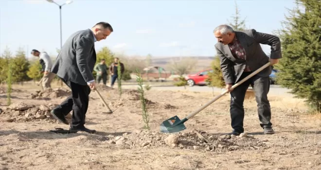 Alaca’da  350 fidan toprakla buluşturuldu