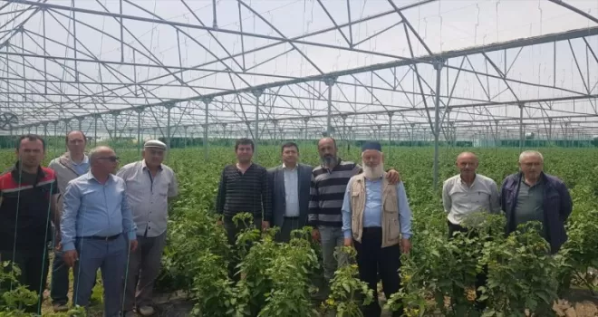Alaçam Kaymakamı Zaman’dan üreticilere ziyaret
