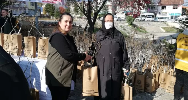 Almus ve Başçiftlik'te 900 fidan toprakla buluştu