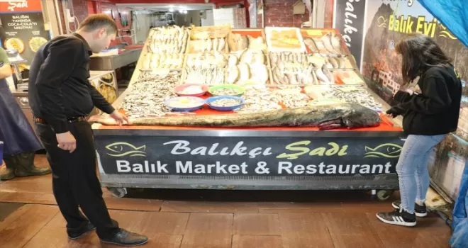 Amasya’da 65 kilogramlık yayın balığı yakalandı