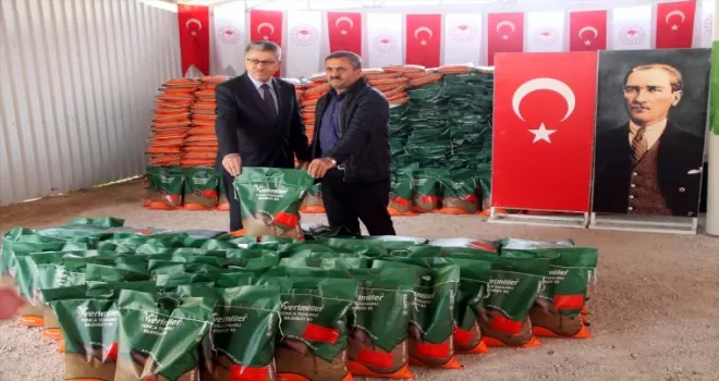 Amasya’da çiftçilere 55 ton yonca tohumu dağıtıldı
