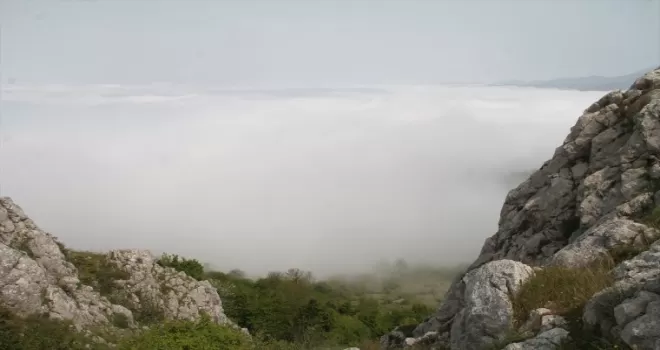 Amasya’da sis etkili oldu