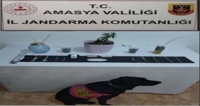 Amasya’da uyuşturucu operasyonunda 1 şüpheli yakalandı