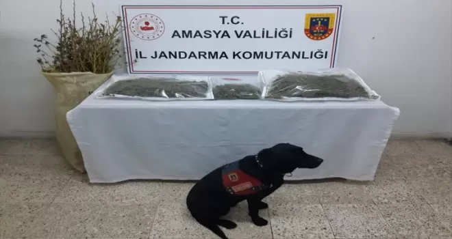 Amasya'da uyuşturucu operasyonunda yakalanan zanlı tutuklandı