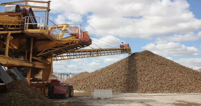 Amasya Şeker Fabrikası’nda 70. pancar alım kampanyası başladı