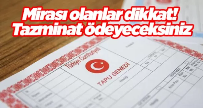 Anneden ve babadan kalan mirası olanlar dikkat! Tazminat ödeyeceksiniz