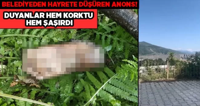 Artvin’de hayrete düşüren anons! Duyanlar şaştı kaldı