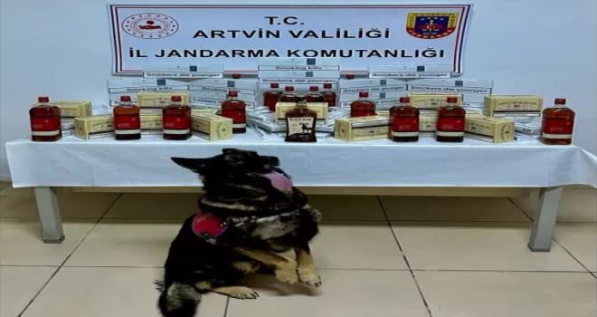 Artvin’de kaçakçılıkla mücadele çalışmaları devam ediyor