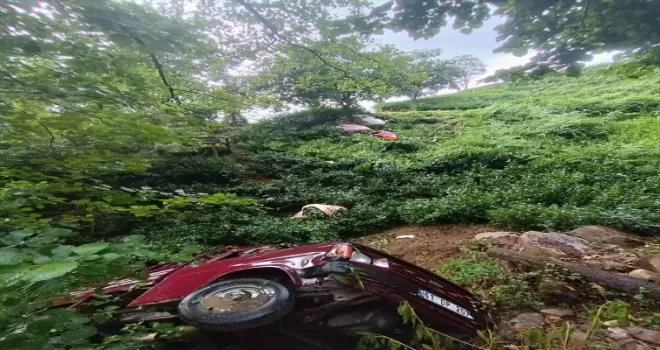 Artvin’de kamyonetin şarampole yuvarlandığı kazada 3 kişi yaralandı