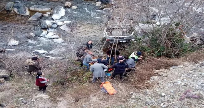Artvin'de otomobilin dereye yuvarlandığı kazada 3 kişi yaralandı