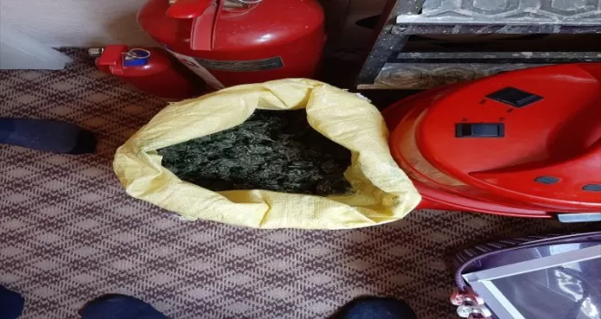 Artvin’de uyuşturucu operasyonunda 1 kişi tutuklandı