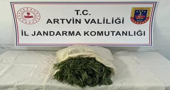Artvin'de uyuşturucu operasyonunda 2 zanlı gözaltına alındı
