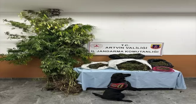 Artvin’de uyuşturucu operasyonunda 5 şüpheli tutuklandı