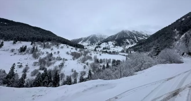 Artvin ve Gümüşhane’de kar etkili oluyor