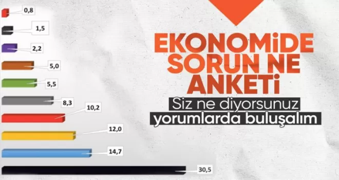 ASAL Araştırma’dan ’Türkiye ekonomisinin en önemli sorunu nedir’ anketi