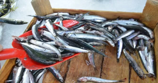 Av yasağı ve olumsuz hava koşulları tezgahlardaki balık fiyatlarını etkiliyor