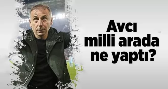 Avcı milli arada ne yaptı?