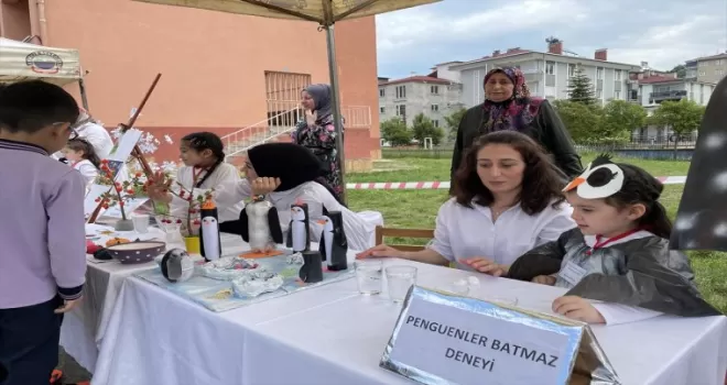 Ayancık’ta Bilim Şenliği düzenlendi