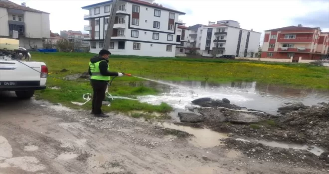 Bafra Belediyesinin larva mücadelesi sürüyor