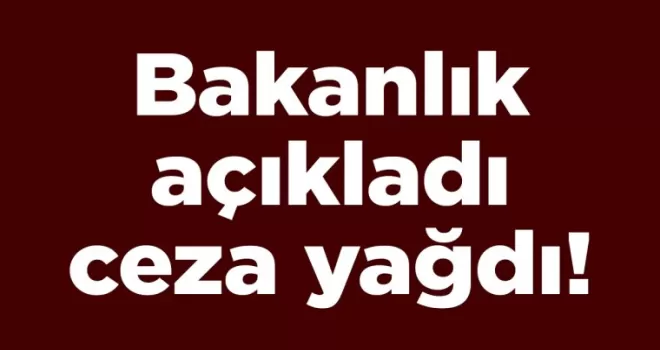 Bakanlık açıkladı, ceza yağdı!