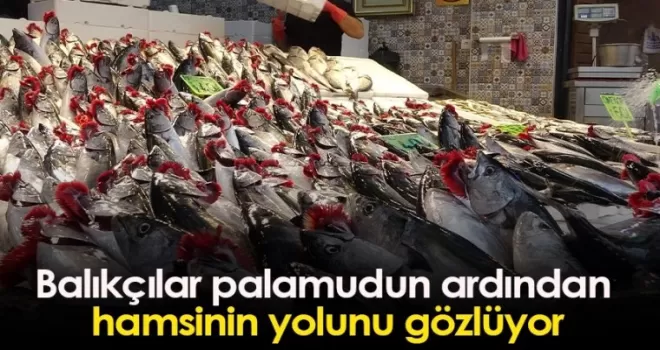 Balıkçılar palamudun ardından hamsinin yolunu gözlüyor