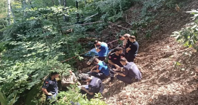 Bartın’da kestiği ağacın altında kalan orman işçisi öldü