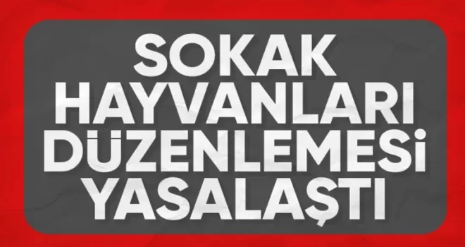 Başıboş sokak köpekleri düzenlemesi Meclis’te kabul edildi