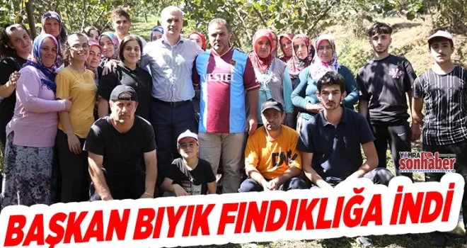 BAŞKAN BIYIK FINDIKLIĞA İNDİ