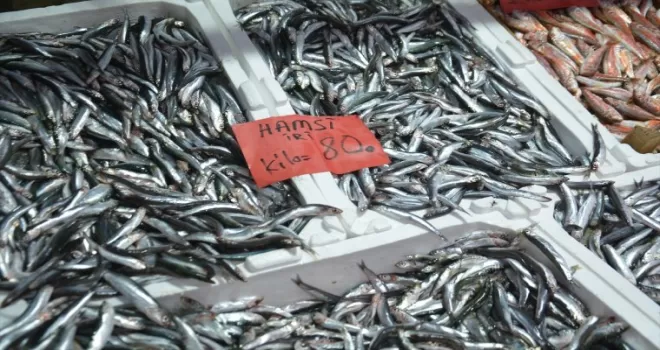 Batı Karadeniz'de hamsi azlığı fiyatları yükseltti