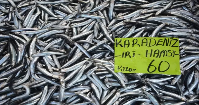 Batı Karadeniz'de hamsi tezgahların gözdesi oldu