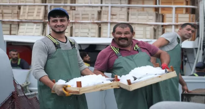Batı Karadenizli balıkçılar limana bol palamutla döndü
