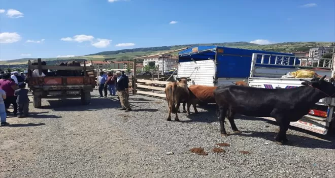 Bayat Hayvan Pazarı yeniden açıldı