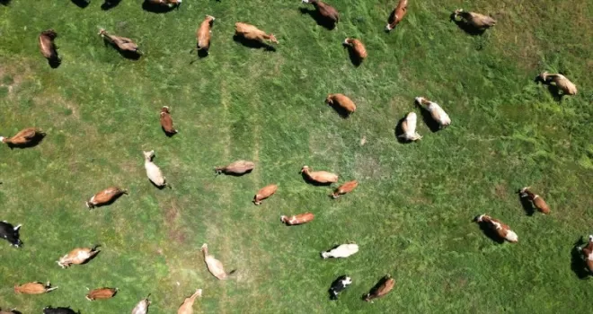 Bayburt’ta 400 dekar atıl arazi ekonomiye kazandırıldı
