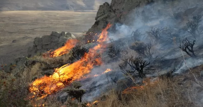 Bayburt'ta dağlık alanda çıkan örtü yangınına müdahale ediliyor