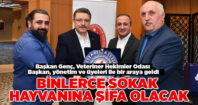 BİNLERCE SOKAK HAYVANINA ŞİFA OLACAK