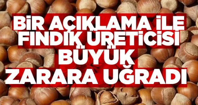 Bir açıklama Trabzon’da fındık üreticisini büyük zarara uğrattı!