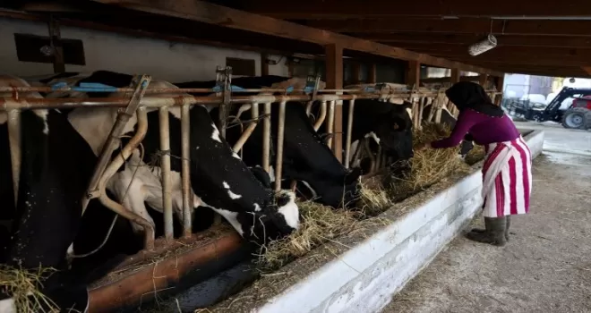 Bir inekle başladı, devlet desteğiyle çiftlik kurdu